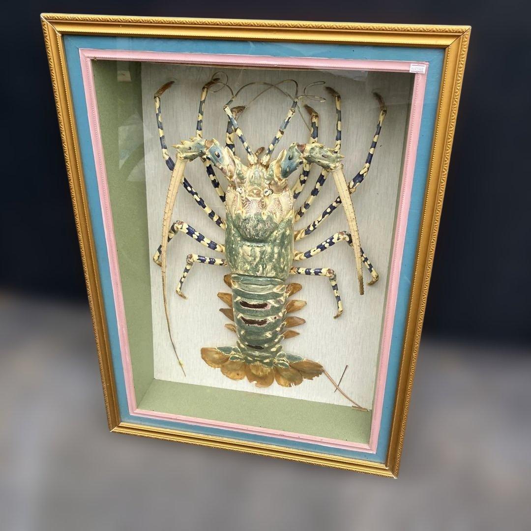 伊勢海老 エビ 剥製 ガラスケース 壁額 壁飾りロブスター標本 大型