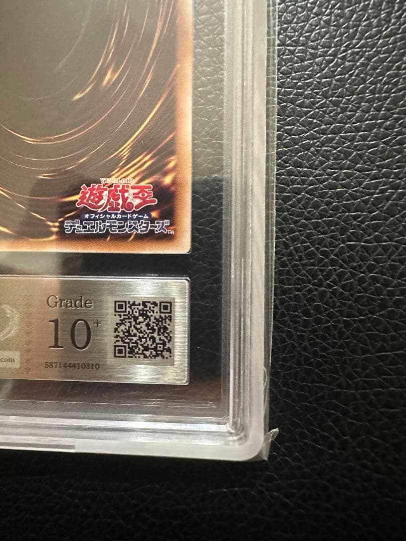 誇りと魂の龍　クオシク　ARS10+