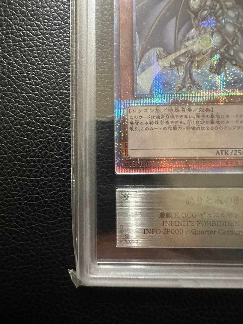 誇りと魂の龍　クオシク　ARS10+