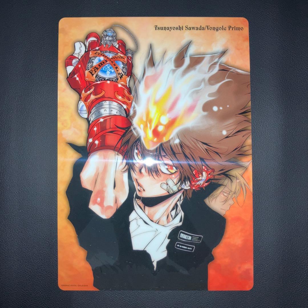 超激レア　家庭教師ヒットマンREBORN！ 下敷き 5点セット