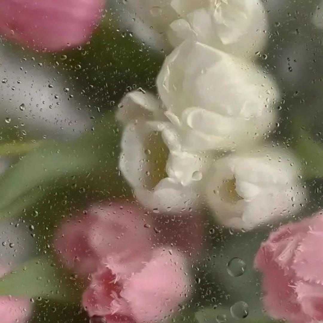 乳液・ミルク dog1982yass