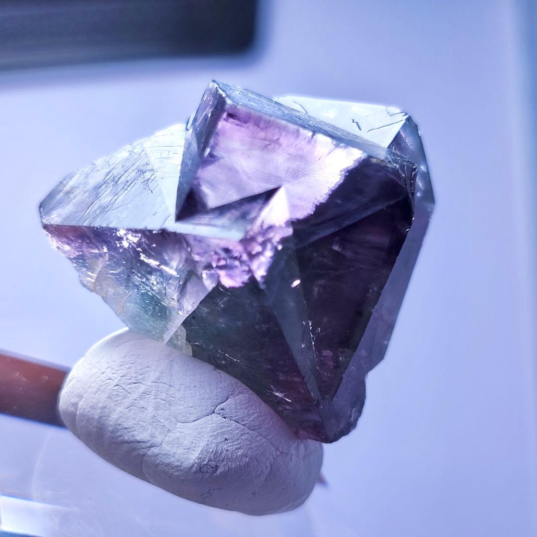 140 UK レディアナベラ Purple Rain Pocket フローライト