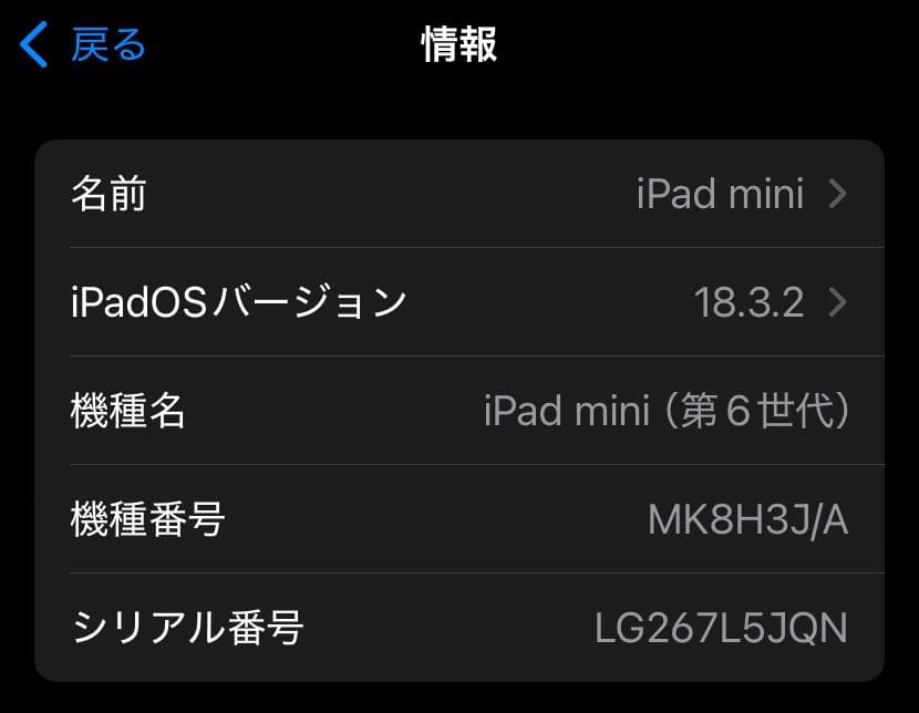 iPad mini 第6世代 Cellular 256GB + 他
