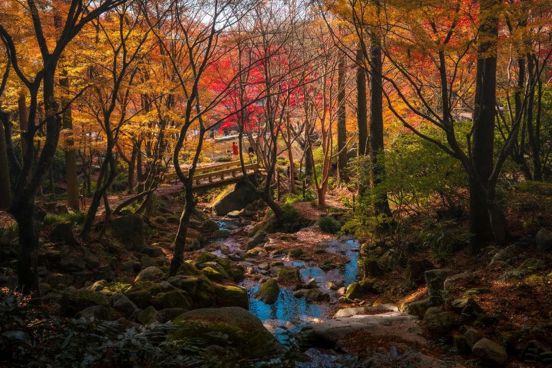 プロカメラマンによる風景写真（額装）