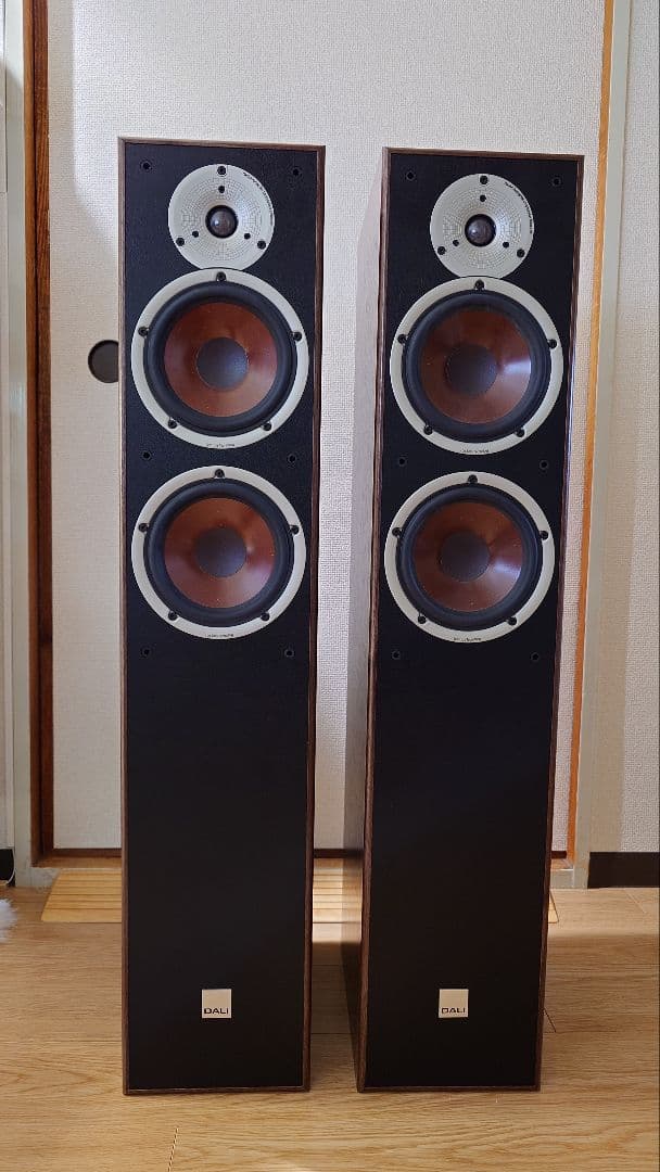 DALI SPEKTOR 6 ダリ スペクター