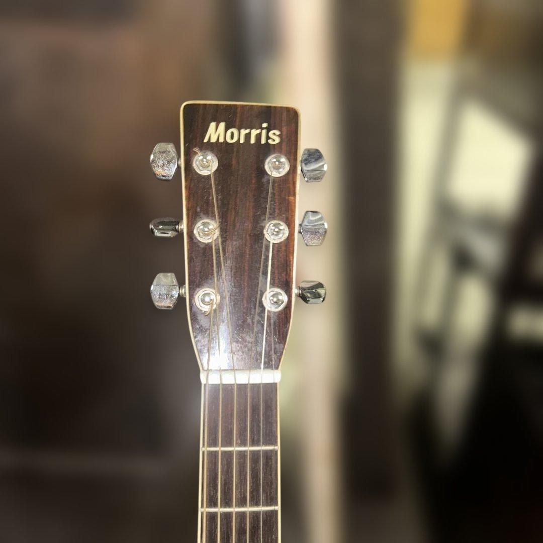 Morris アコースティックギター W-30 ギターケース付き