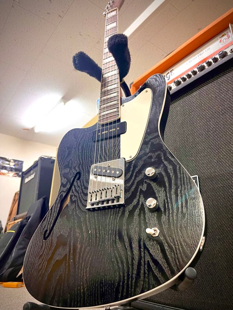 如*。様 Telemaster custom made model