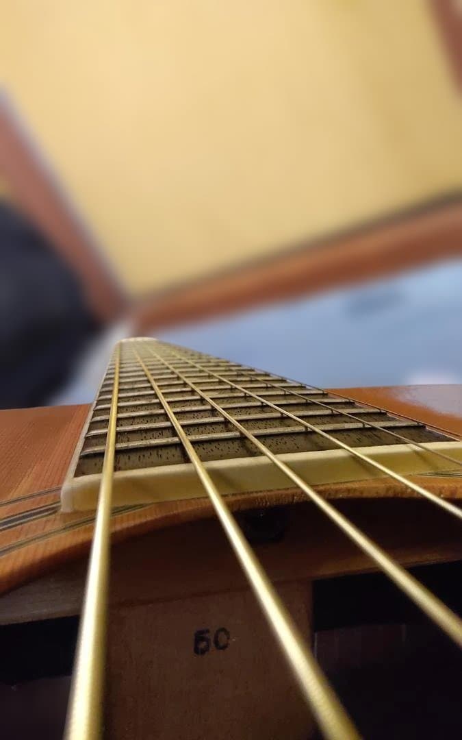 Morris/モーリス　W 50