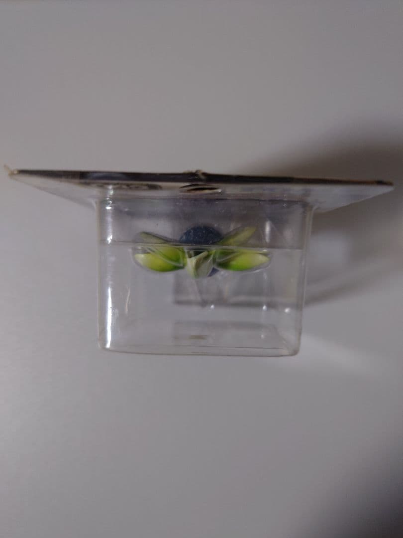 モンコレ　ナゾノクサ