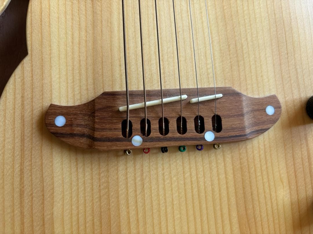 【中古品】SCHECTER（シェクター）エレアコ OL-FL-P