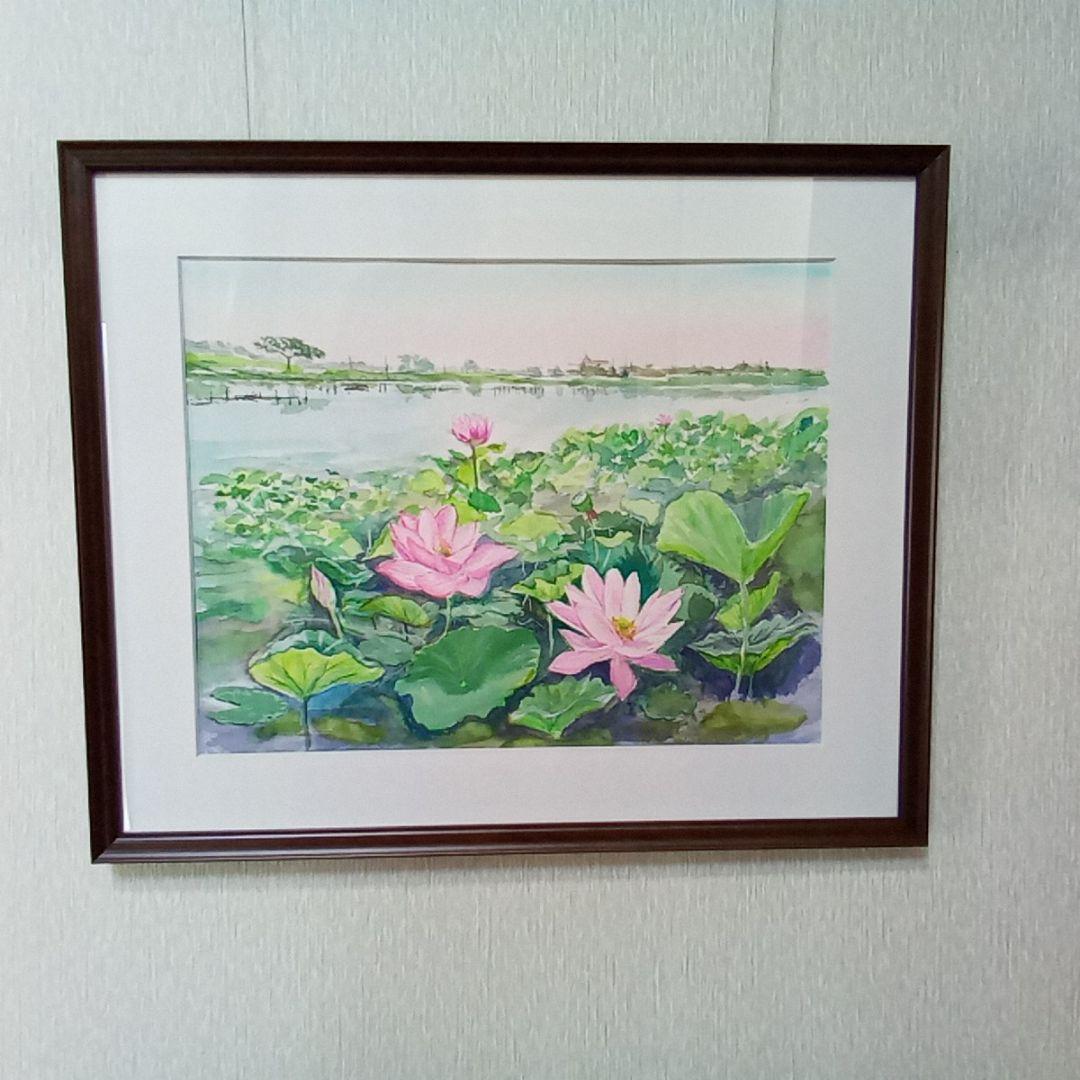 川越　伊佐沼　古代蓮　(水彩画)