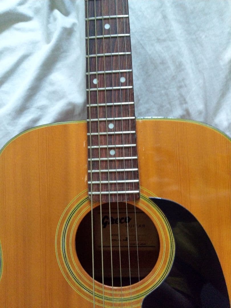 Greco アコースティックギター MODEL100