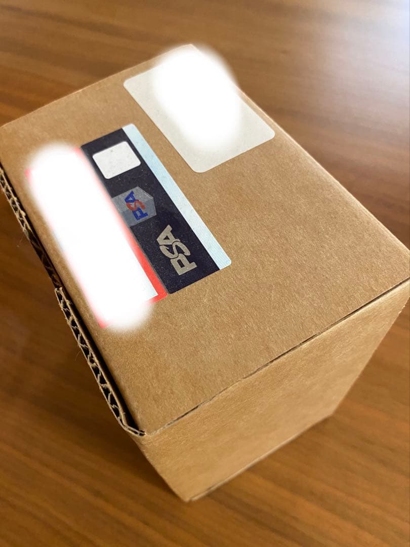 【PSA9】かんこうきゃく SR 192/173