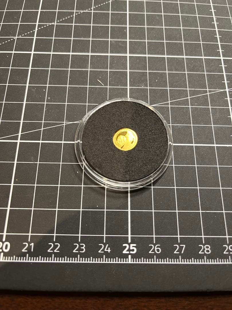 ム*ウ様 外国金貨　イギリス　ウナとライオン 2P金貨