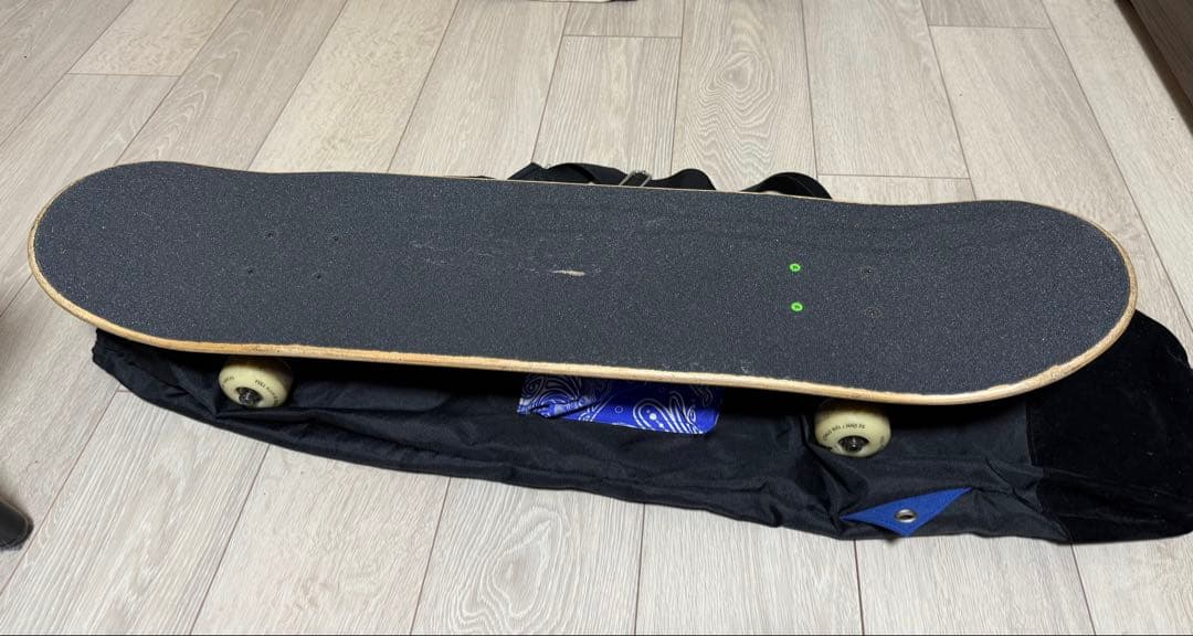 ELEMENT スケートボード グラフィックデッキ 専用バッグ付き