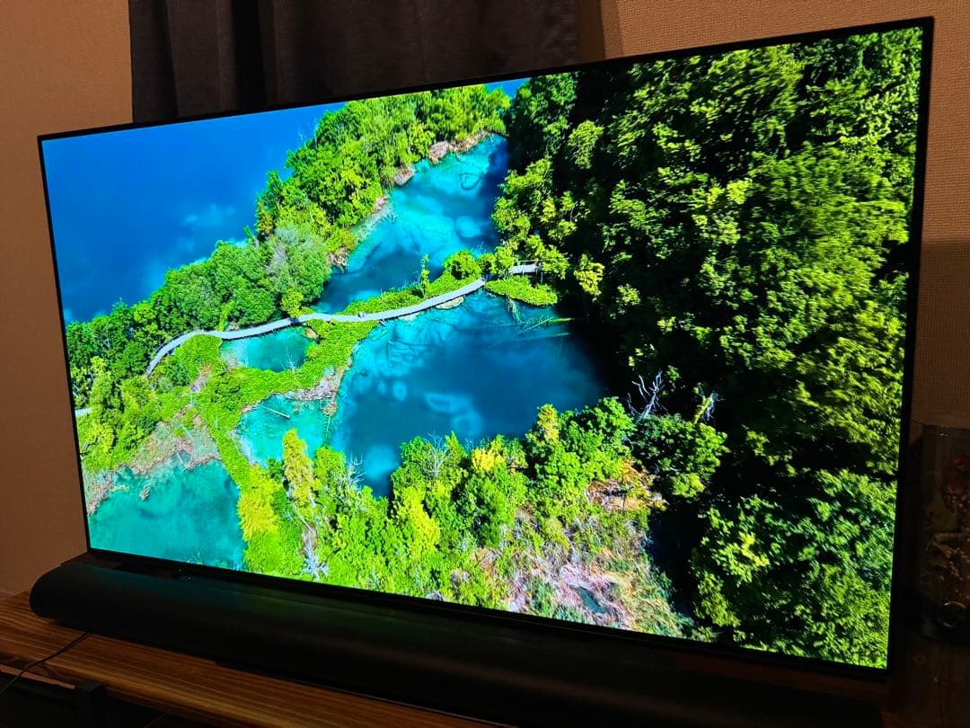 【2018年製】55型有機ELテレビ/Panasonic/TH-55FZ950