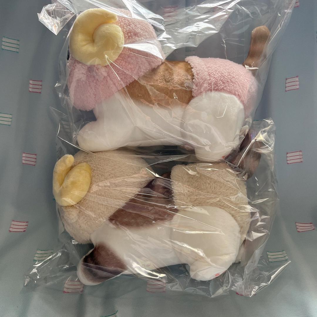 まとめ売り【モフサンドmofusand】ひつじにゃん BIGぬいぐるみ 2種×5