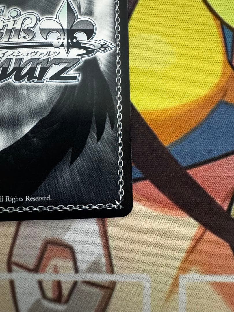 主を導く役目　コッコロ　サインa