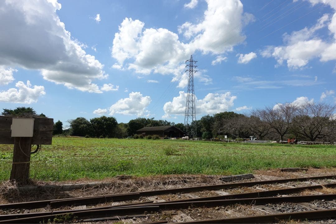 SONY DSC-RX100M5 コンパクトデジタルカメラ 動作確認済