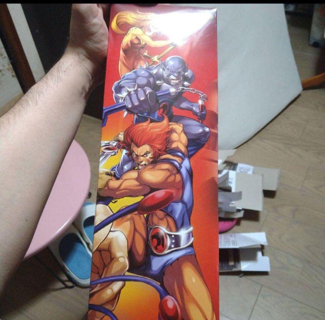 マテル サンダーキャッツ Thundercats TYGRA