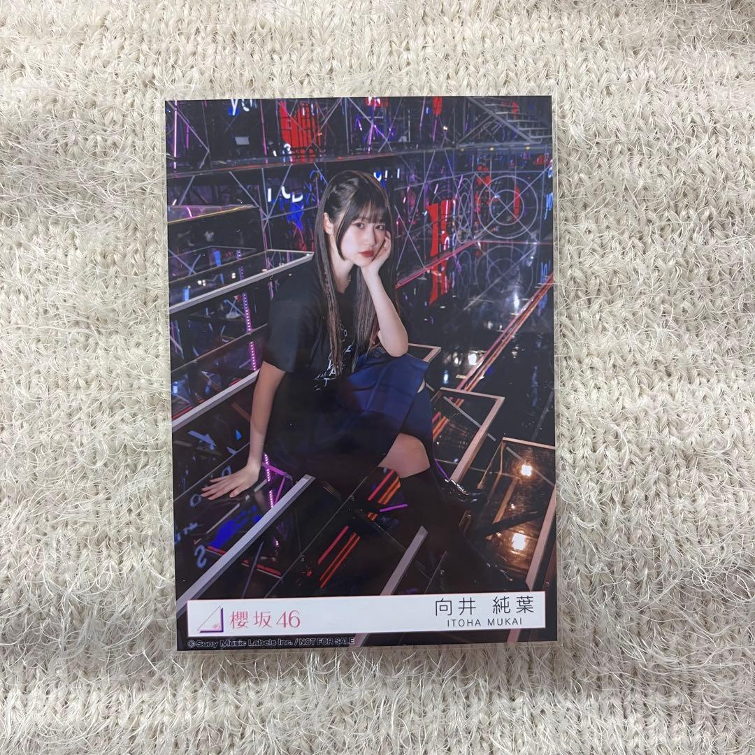 櫻坂46 向井純葉 生写真 東京ドーム スペシャルプレゼント