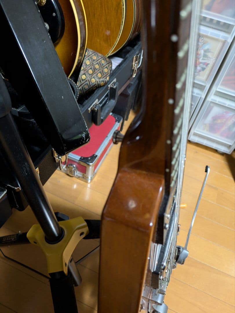 【TH】BFV-STD with Bigsby B7 mod.