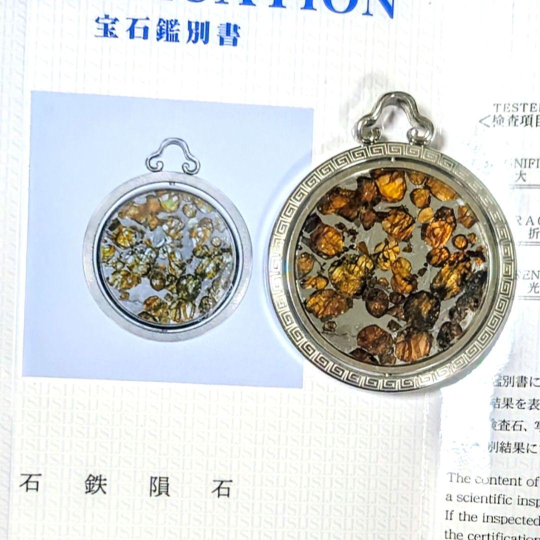 石鉄隕石（セリコ パラサイト）ペンダント トップ【鑑別書付】