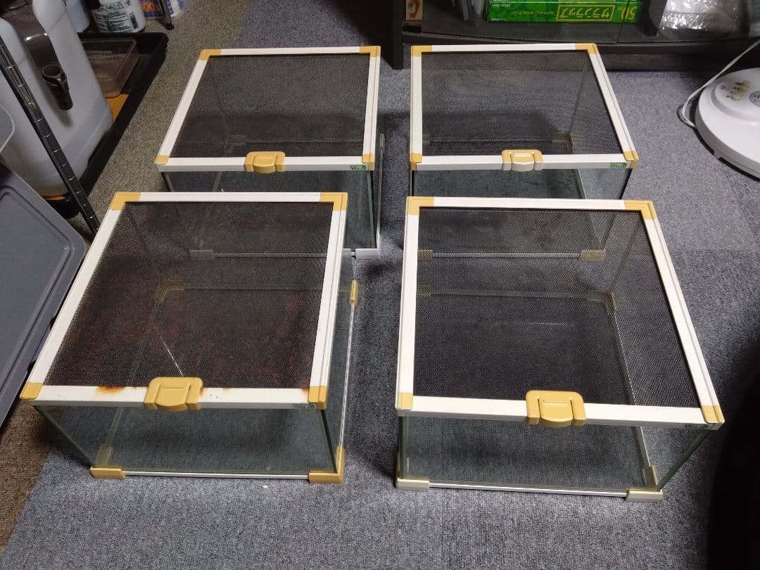 爬虫類　ケージ　グラスゾーン　300 8個セット 引き取り限定