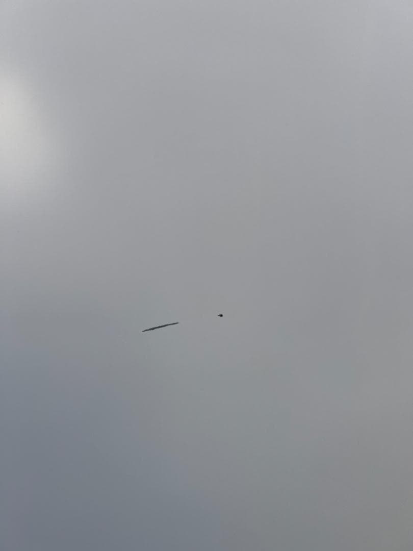 アイリスオーヤマ 冷蔵庫 IRR-90TF-W 90L 2018年製 一人暮らし