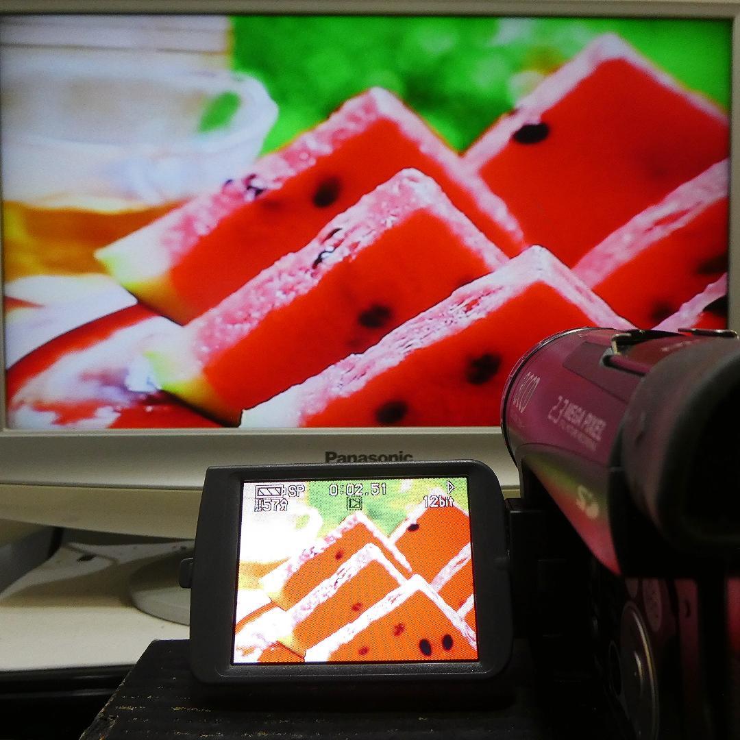 美品・動作良好 パナソニックNV-GS200 MiniDVビデオ　DVD化に最適