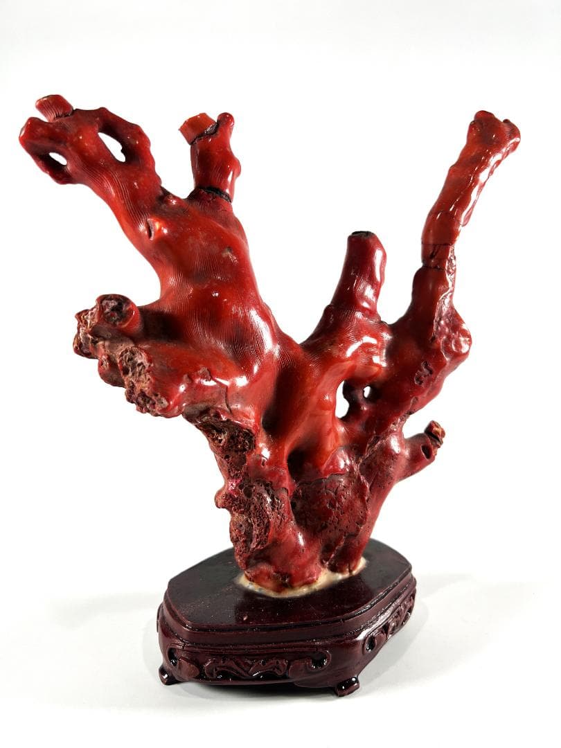 【送料無料・蔵出し品】珊瑚　珊瑚礁　赤珊瑚　台座付　飾り　詳細不明　写真参照