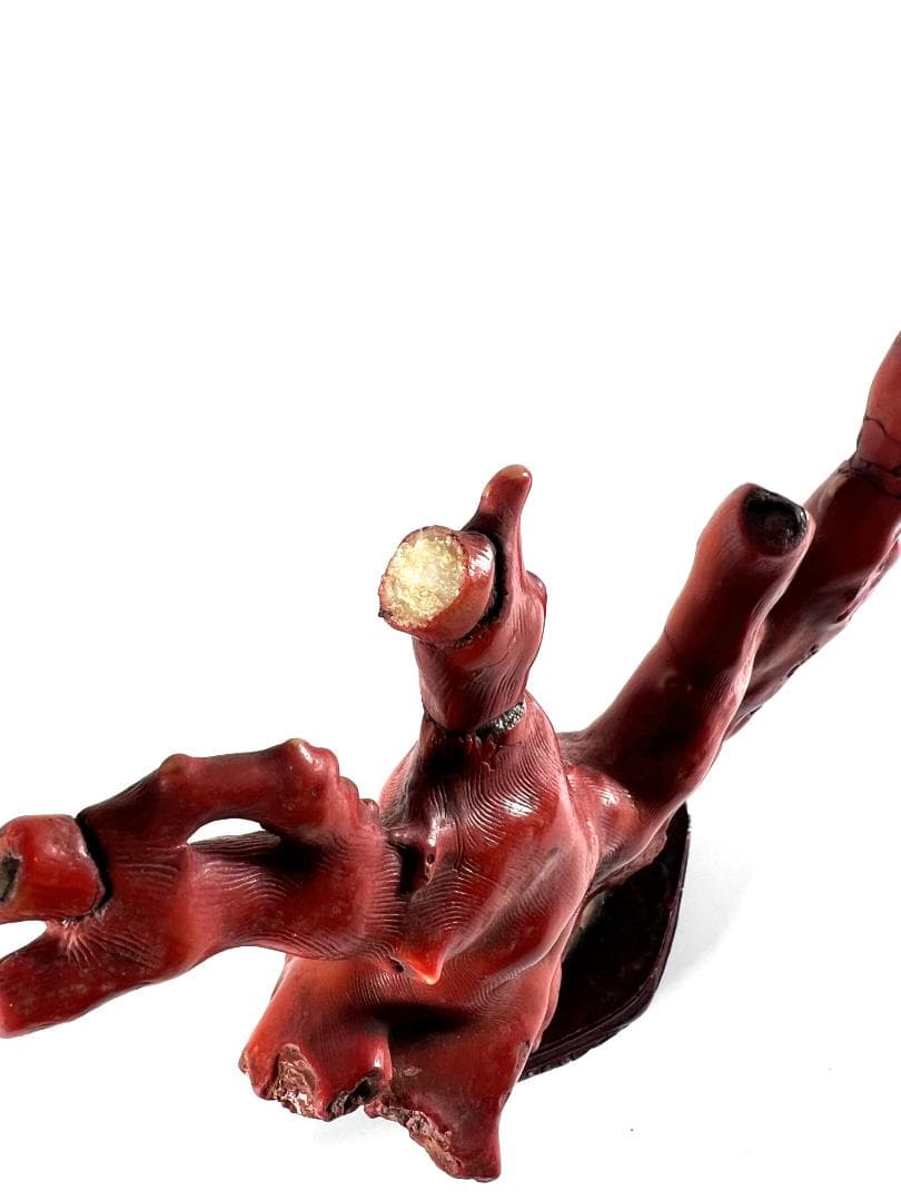 【送料無料・蔵出し品】珊瑚　珊瑚礁　赤珊瑚　台座付　飾り　詳細不明　写真参照