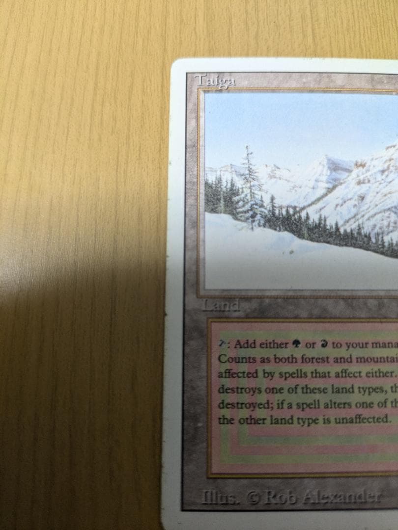 MTG　Taiga①　英語　リバイズド　送料無料