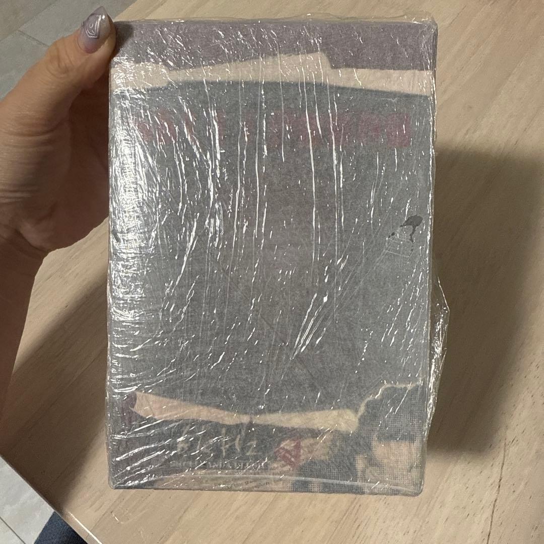 SKULLPANDAヨーロッパ限定フィギュアPOPMART正規品