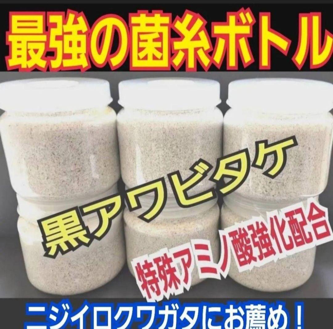 ニジイロクワガタに抜群！極上！黒アワビタケ菌糸瓶【8本】トレハロース強化配合！