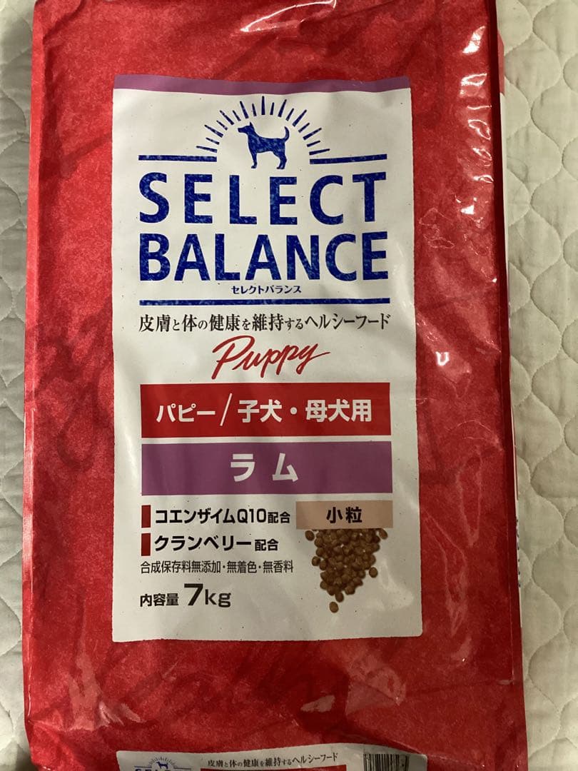 セレクトバランス　子犬・母犬用　ラム　小粒　7kg
