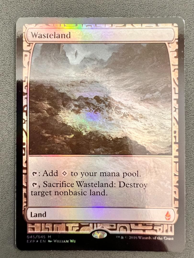 foil「EXP」不毛の大地/Wasteland　英語１枚
