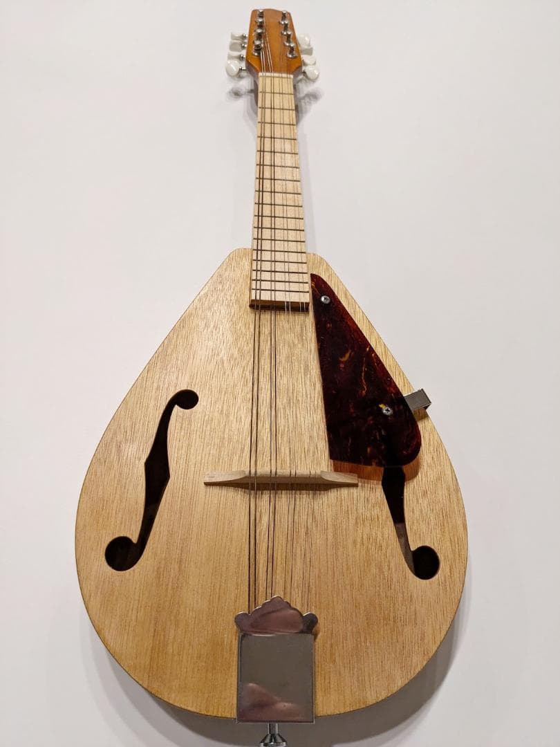 初心者用フラットマンドリン（1990年代製作）専用ハードケース付