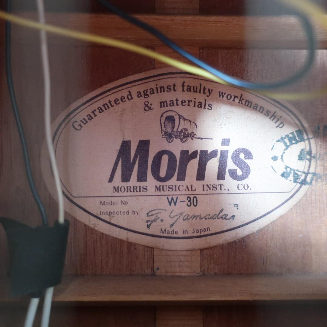 Morris W-30 改エレアコ アコースティックギター 装飾バインディング