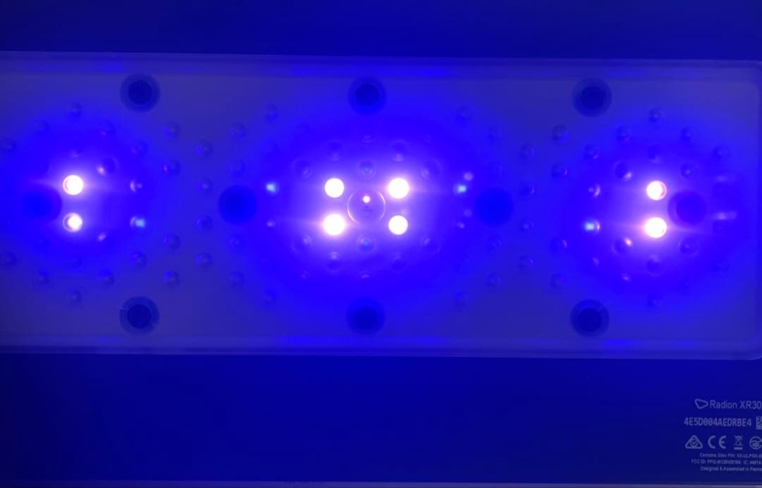 ライト・照明器具 Radion G5 BLUE