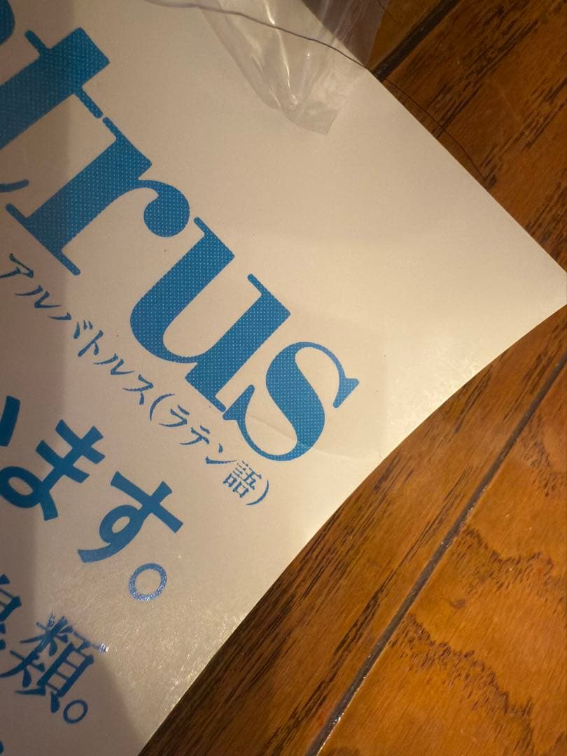 サントリー ポスター3枚セット アホウドリ イヌワシ 日本の県鳥 骨董品