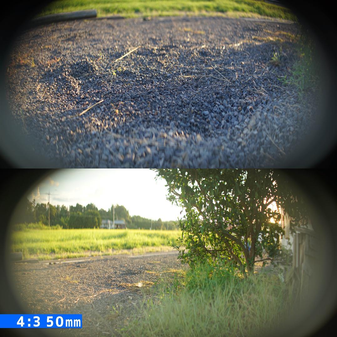 訳 Kowa Prominar Anamorphic 16-H アナモルフィック