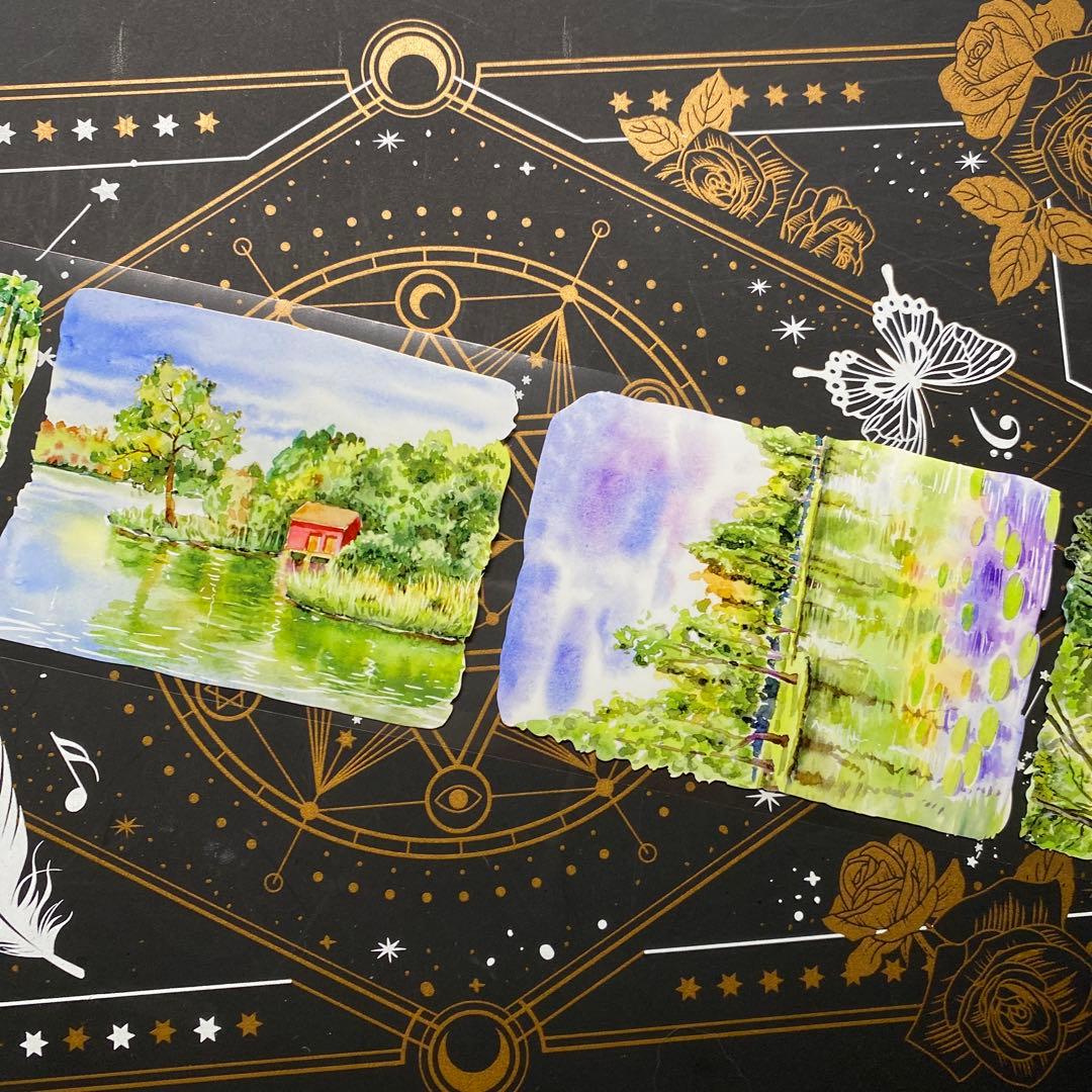 【9309】海外　マステ　中古巻　PETマスキングテープ　自然　背景系