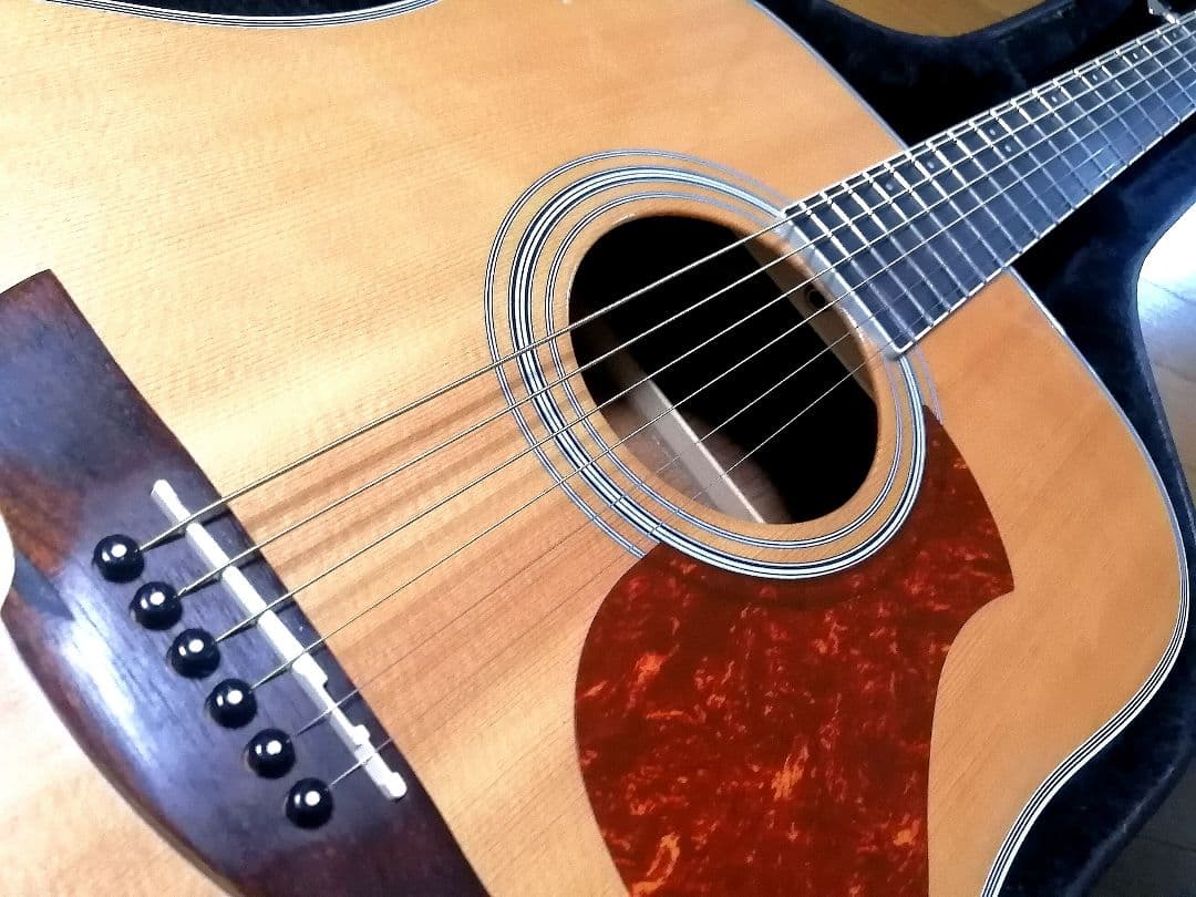 ★エレアコ★James J-450D Ova NAT★新品定価¥56,100