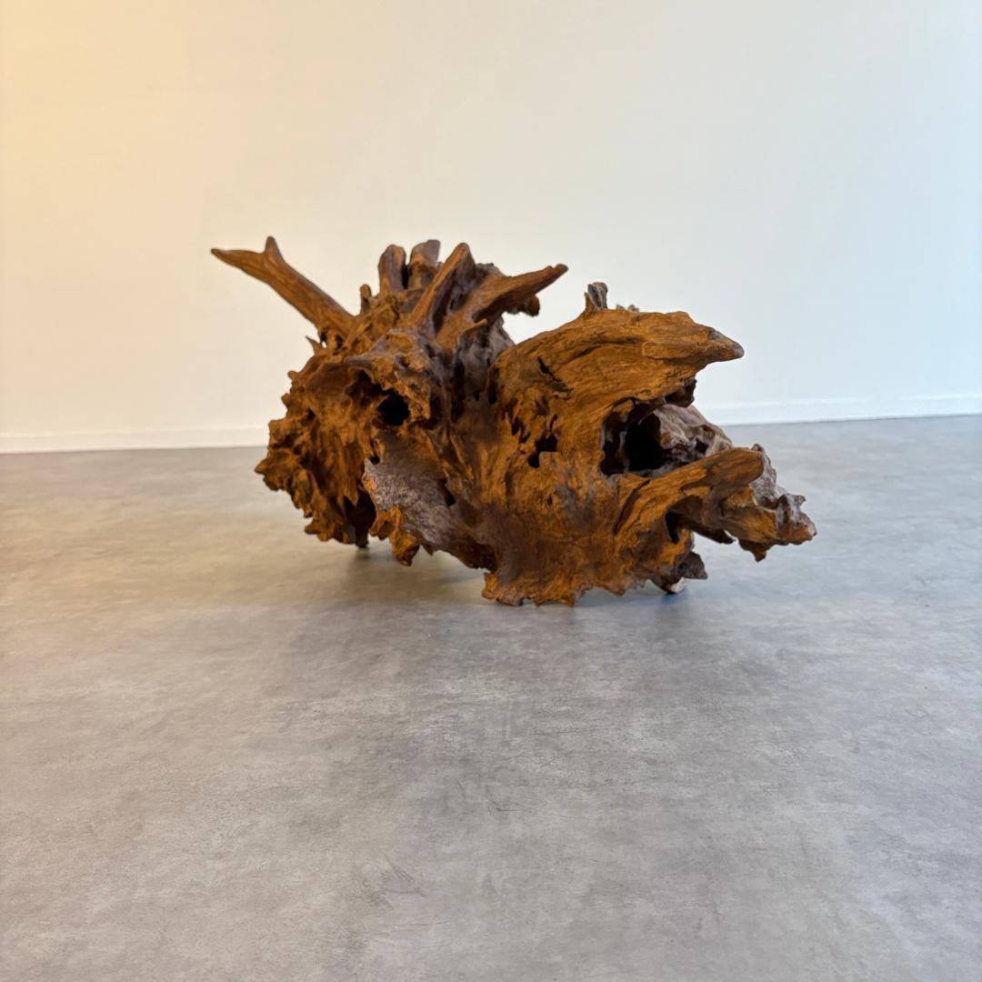 御神木　アート　インテリア　生花　オブジェ