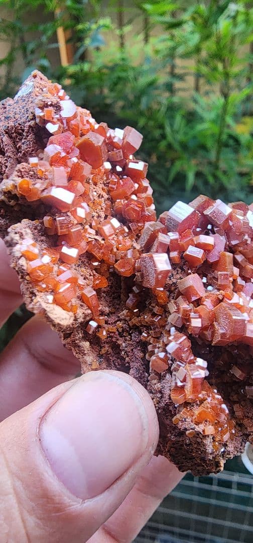 バナジナイト　ホルダー付き