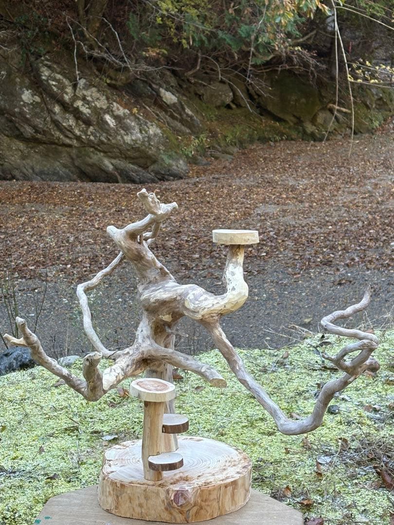 ハンドメイド　バードアスレチック　バードジム