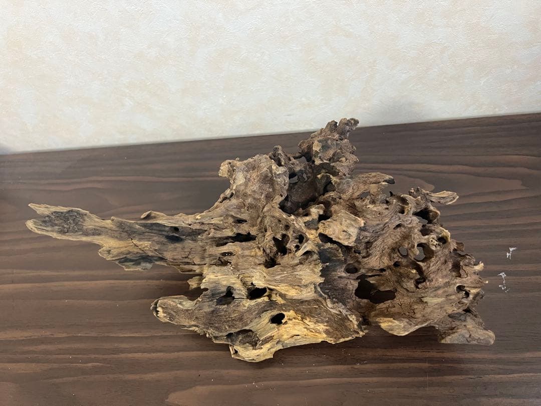 XM-307 流木　マシンガンウッド ブランチウッド　アクアリウム