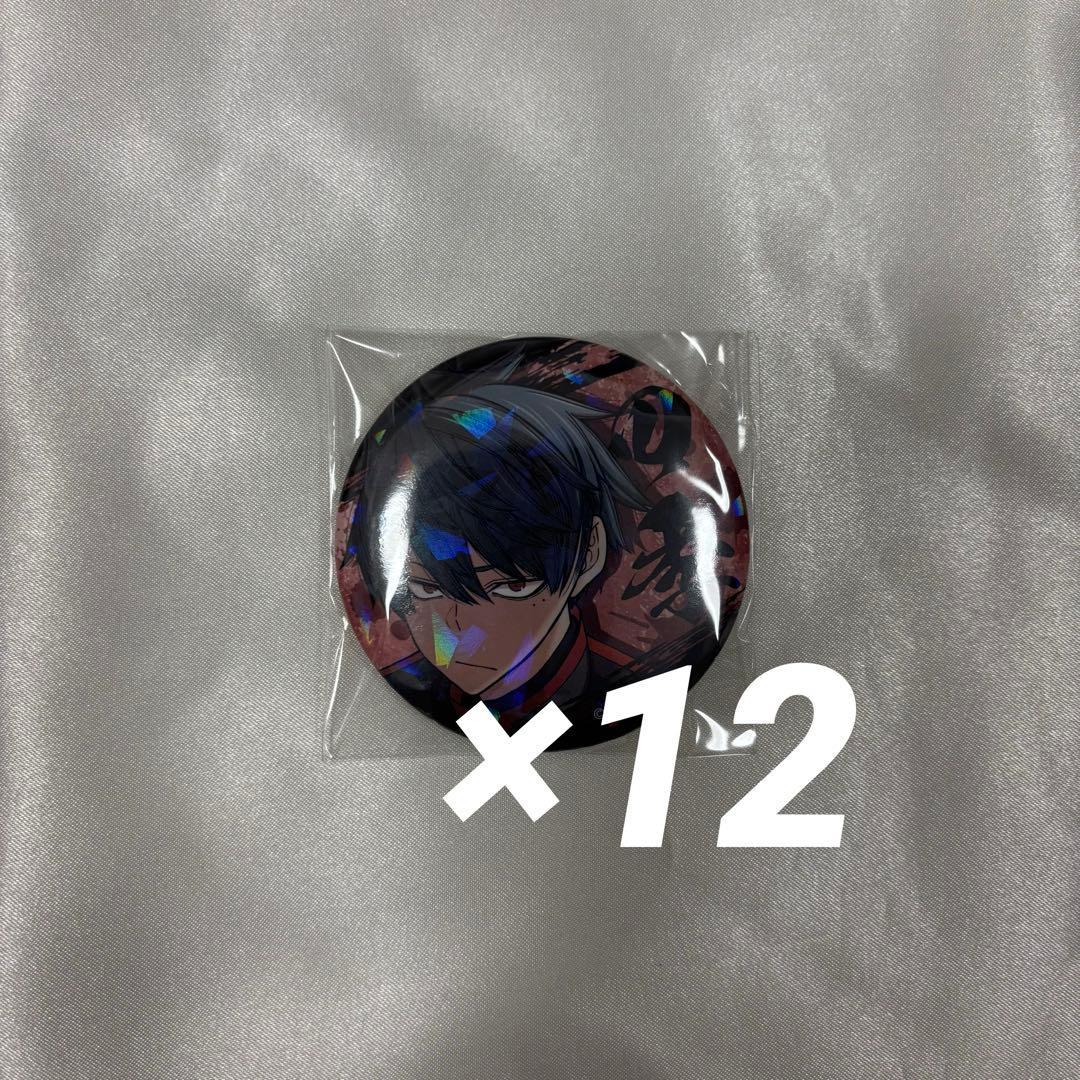 桃源暗鬼 ホログラム缶バッジ vol.6 一ノ瀬四季