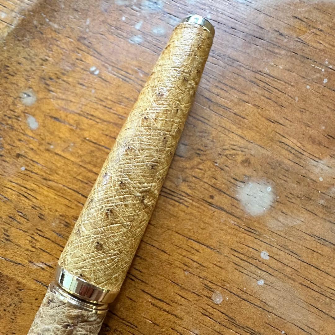 sailor セーラー　万年筆　オーストリッチ　茶　ペン先　18k ①